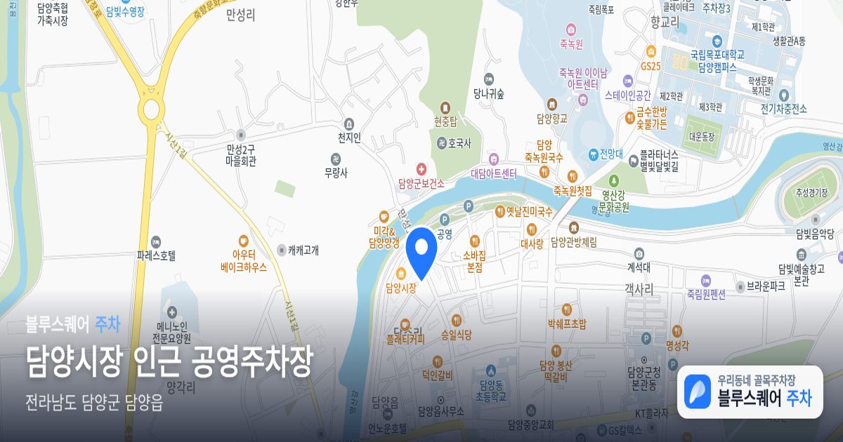 담양시장 인근 공영주차장 위치 지도