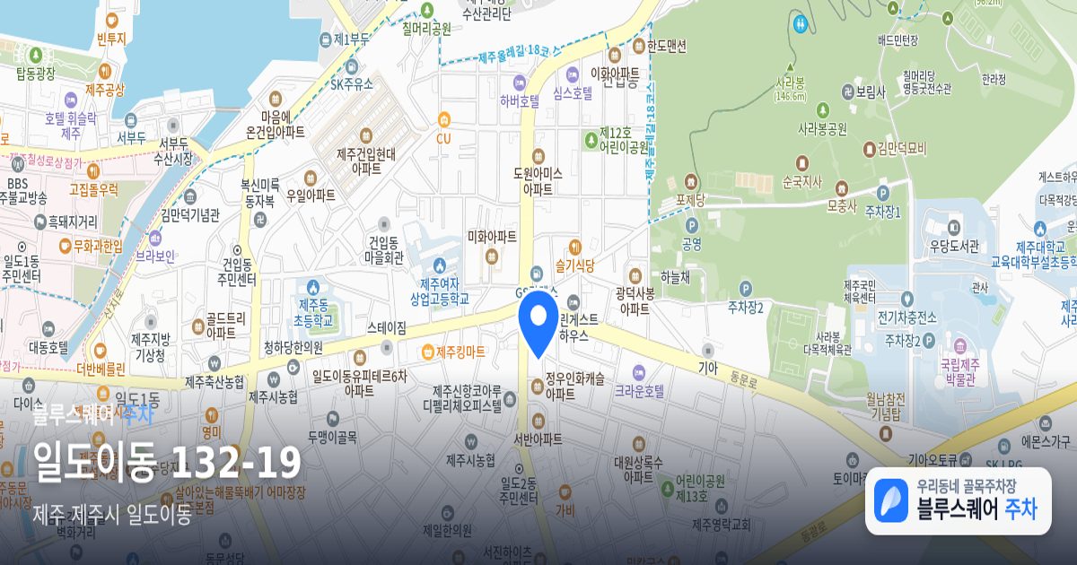 일도이동 132-19 위치 지도