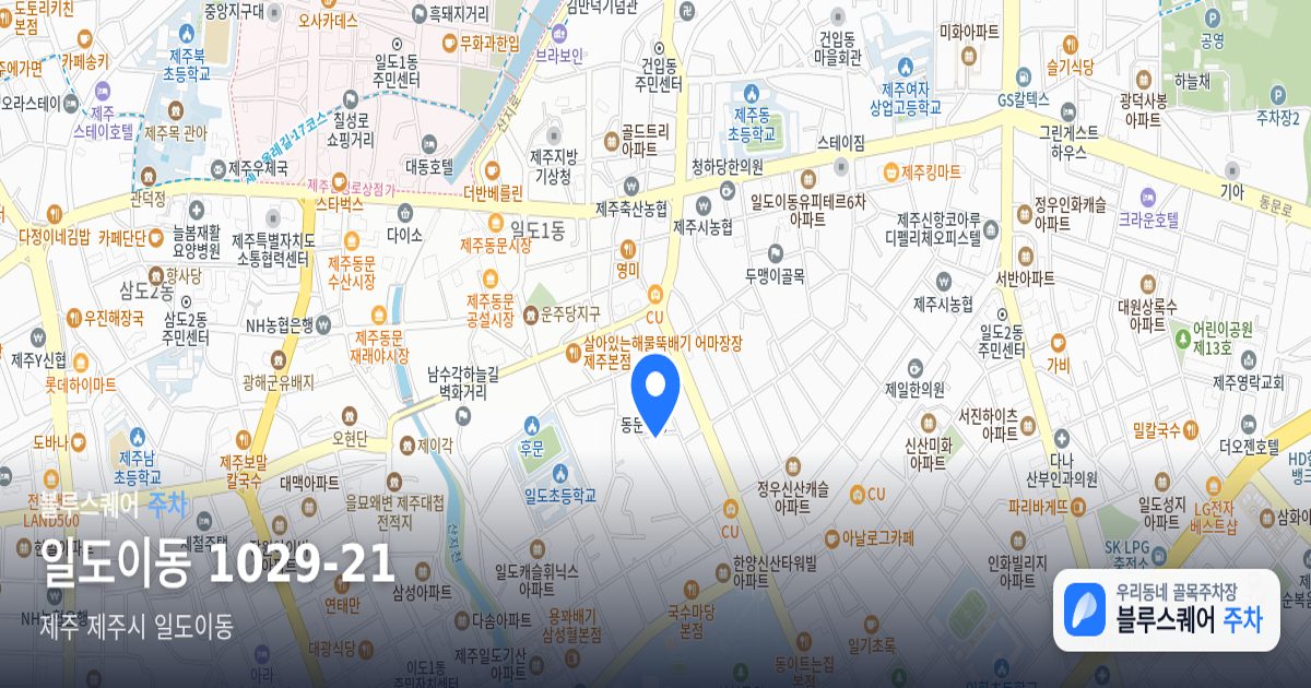 일도이동 1029-21 위치 지도