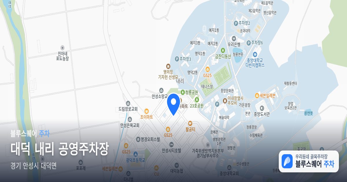 대덕 내리 공영주차장 위치 지도