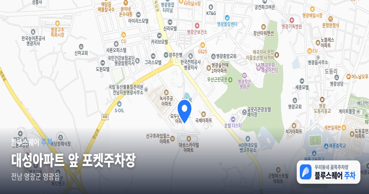 대성아파트 앞 포켓주차장 위치 지도