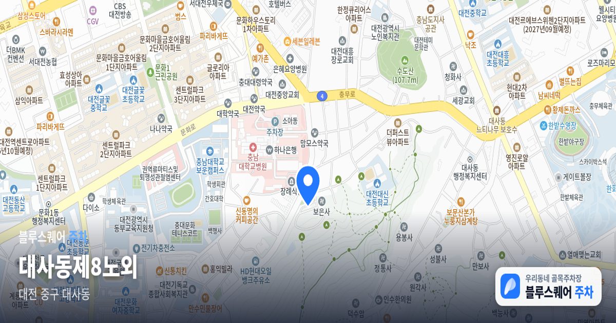 대사동제8노외 위치 지도