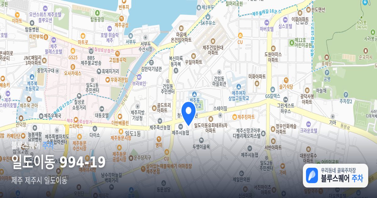 일도이동 994-19 위치 지도
