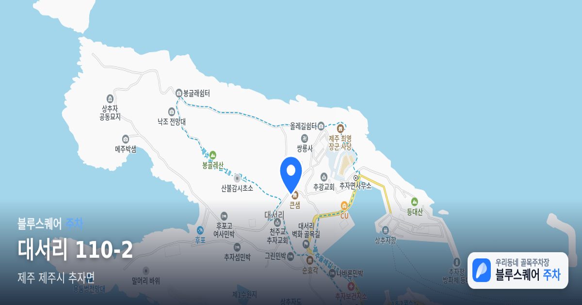 대서리 110-2 위치 지도