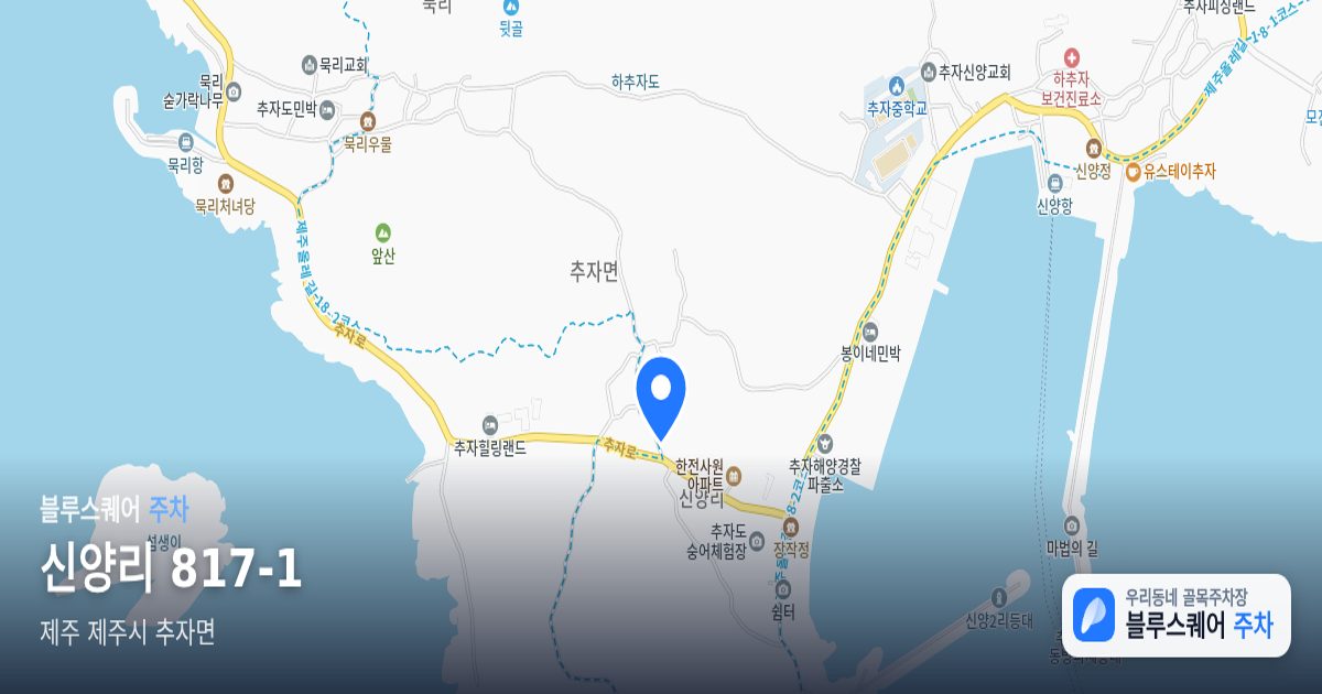 신양리 817-1 위치 지도