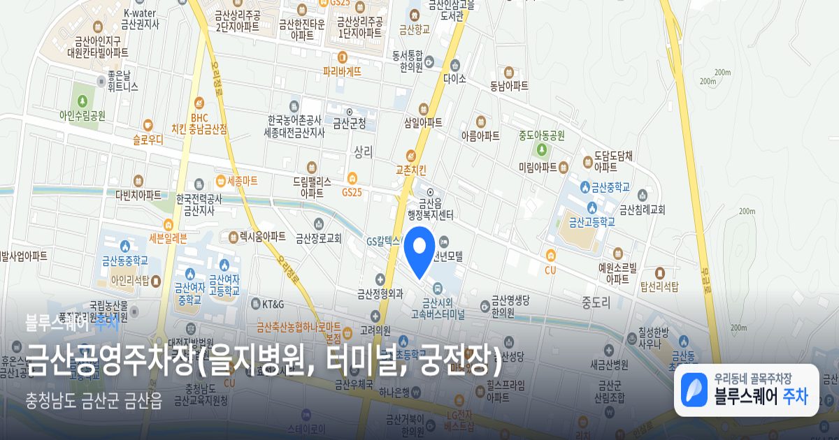 금산공영주차장(을지병원, 터미널, 궁전장) 위치 지도