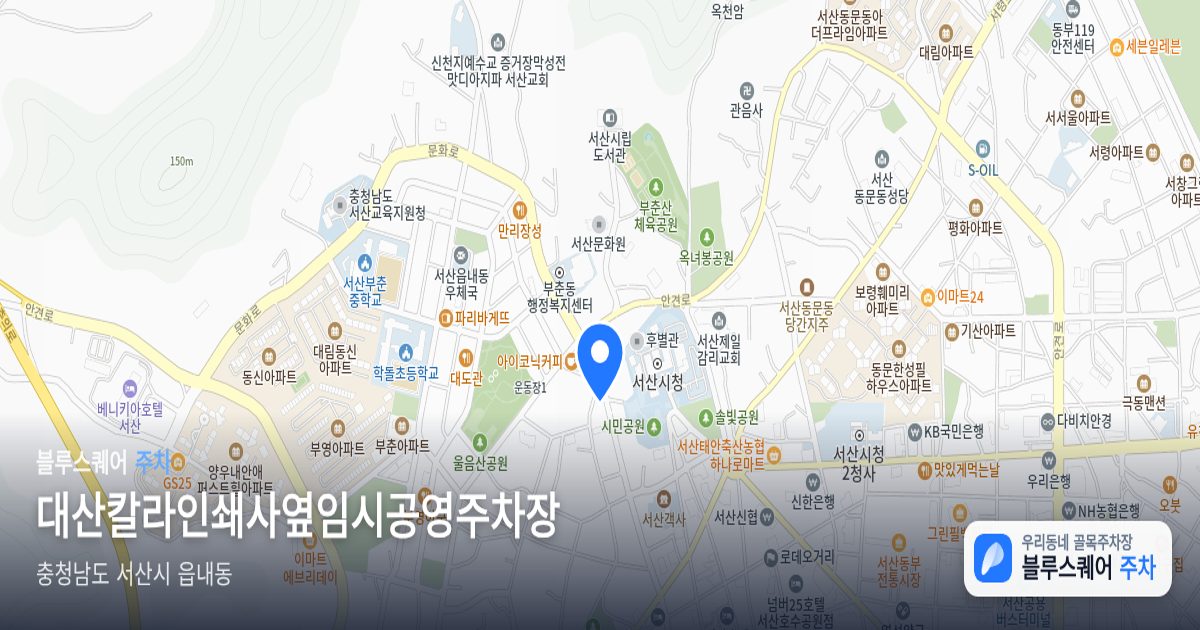 대산칼라인쇄사옆임시공영주차장 위치 지도
