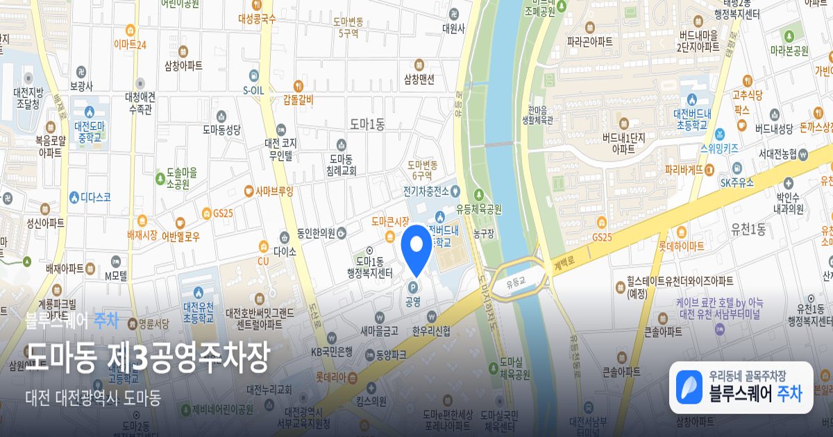 도마동 제3공영주차장 위치 지도