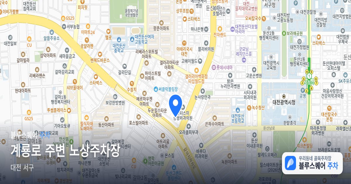 계룡로 주변 노상주차장 위치 지도