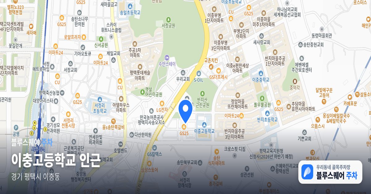 이충고등학교 인근 위치 지도
