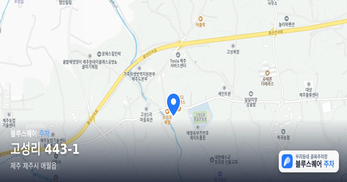 고성리 443-1 위치 지도