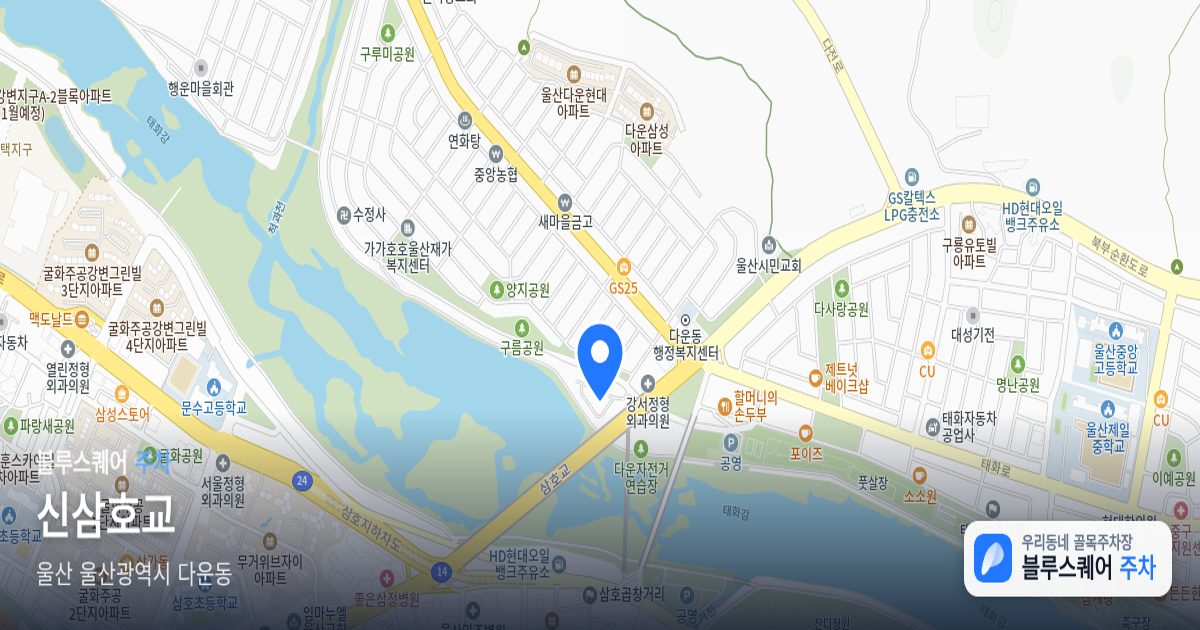 신삼호교 위치 지도