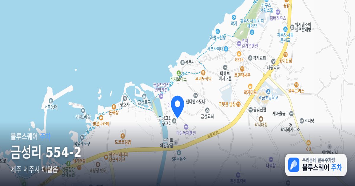 금성리 554-2 위치 지도