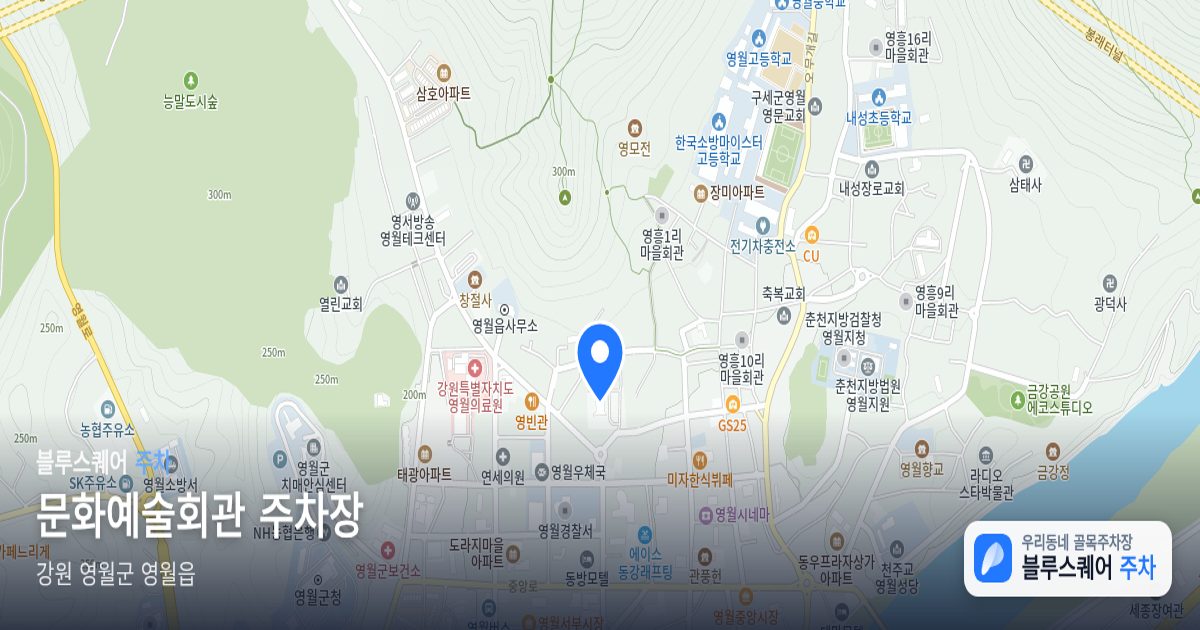 문화예술회관 주차장 위치 지도