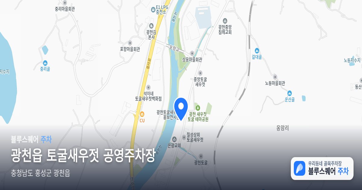 광천읍 토굴새우젓 공영주차장 위치 지도