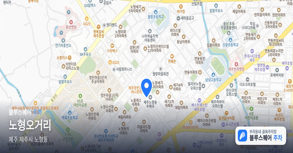 노형오거리 위치 지도