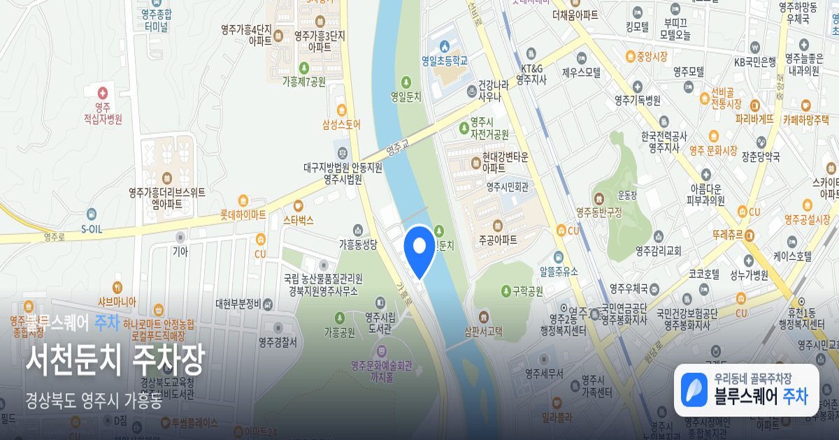 서천둔치 주차장 위치 지도