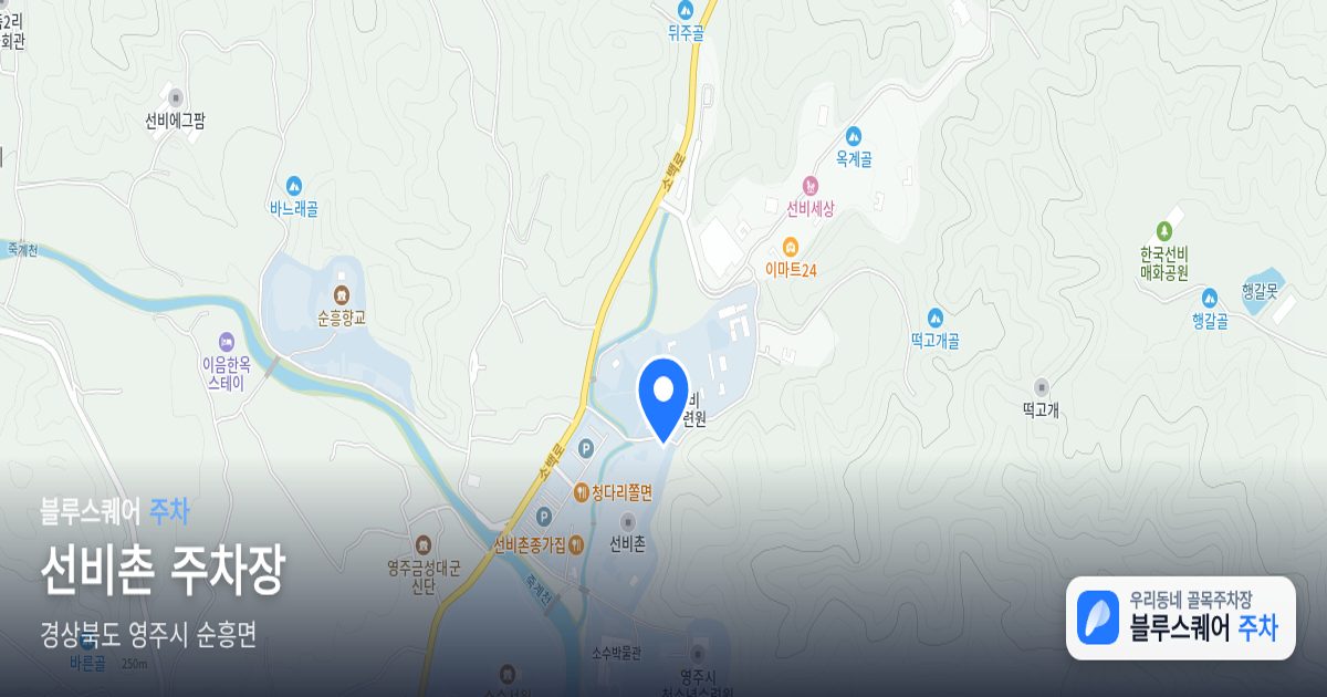 선비촌 주차장 위치 지도
