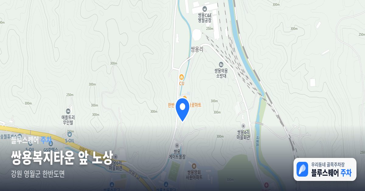 쌍용복지타운 앞 노상 위치 지도