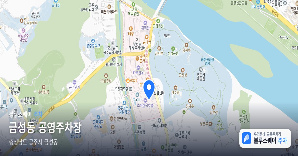 금성동 공영주차장 위치 지도