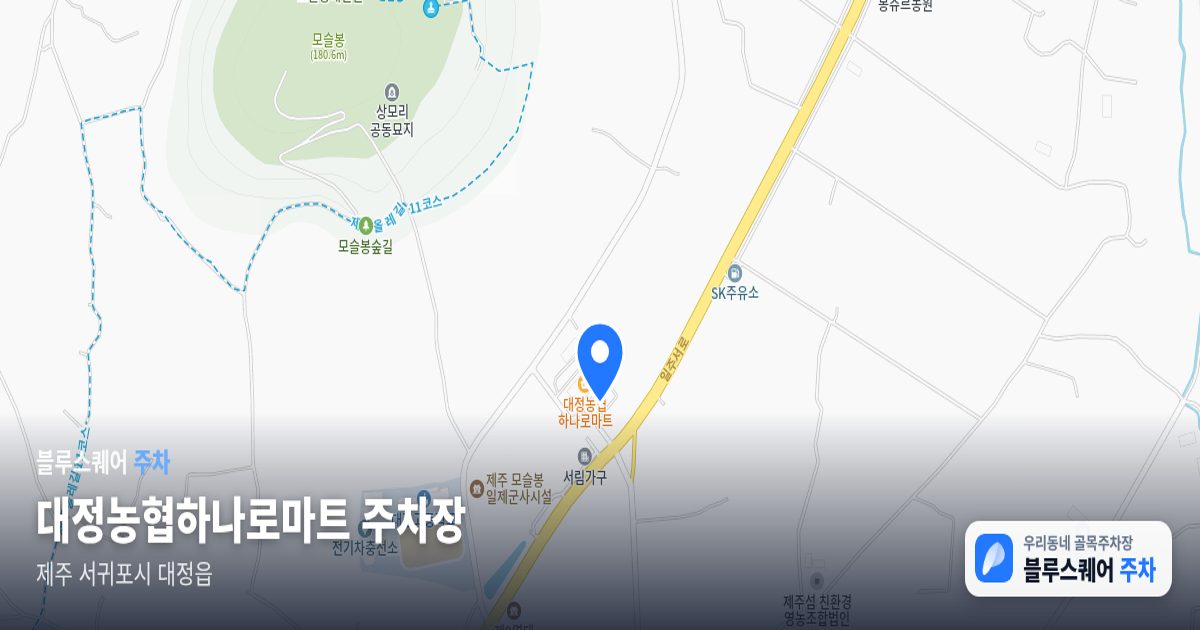 대정농협하나로마트 주차장 위치 지도