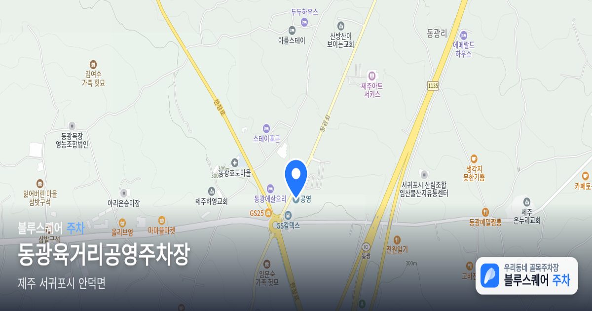 동광육거리공영주차장 위치 지도