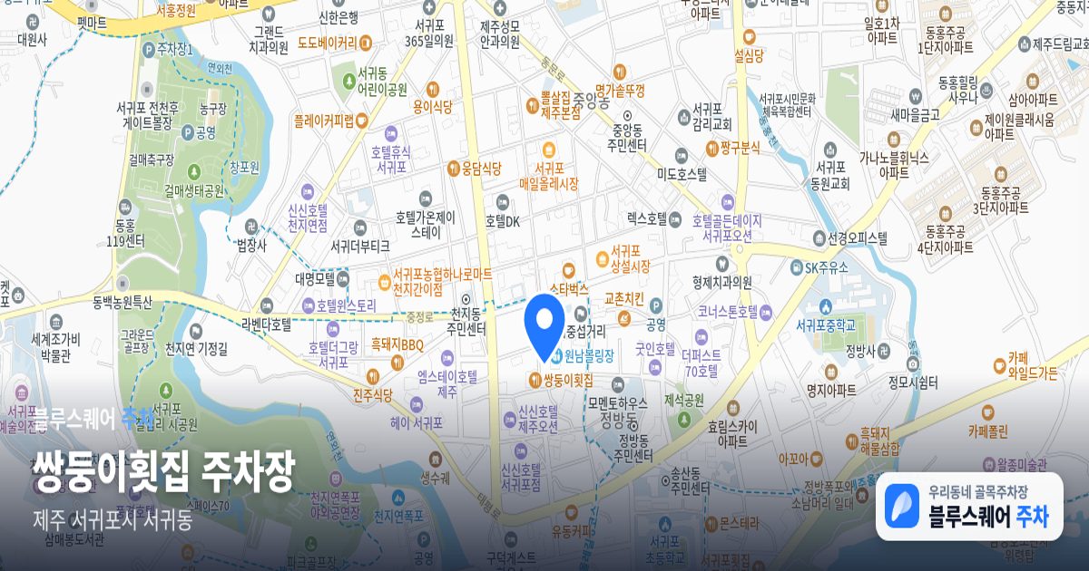 쌍둥이횟집 주차장 위치 지도