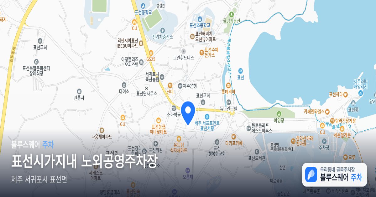 표선시가지내 노외공영주차장 위치 지도