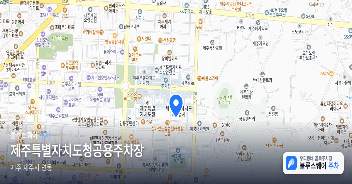 제주특별자치도청공용주차장 위치 지도