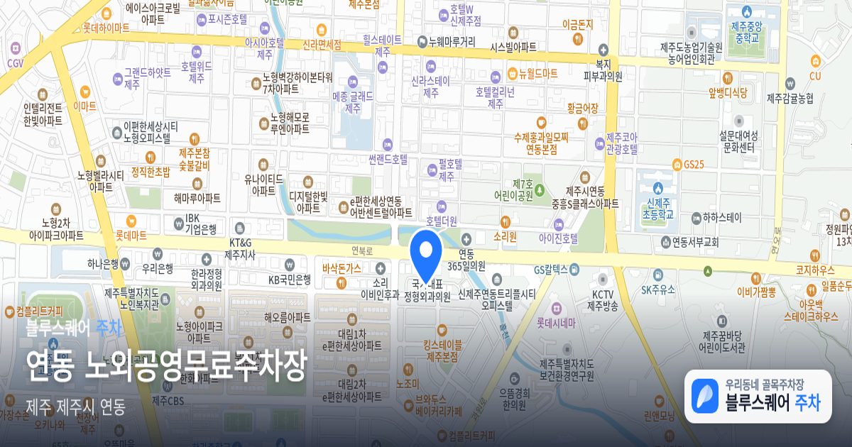 연동 노외공영무료주차장 위치 지도