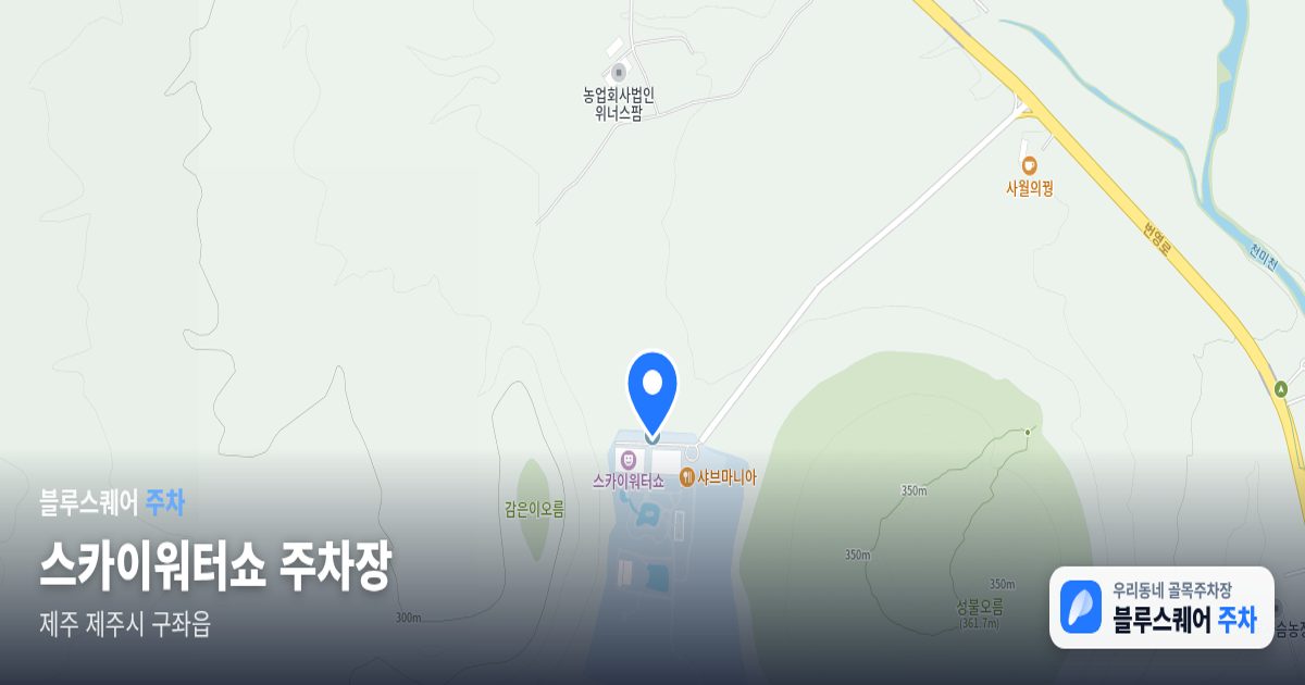 스카이워터쇼 주차장 위치 지도
