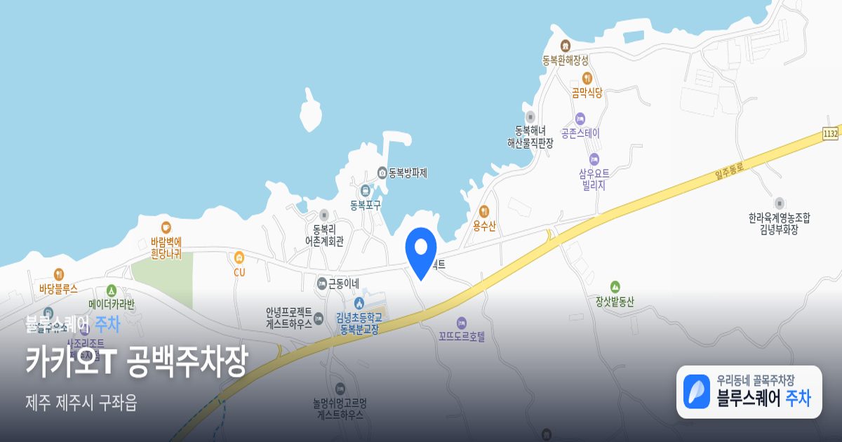 카카오T 공백주차장 위치 지도