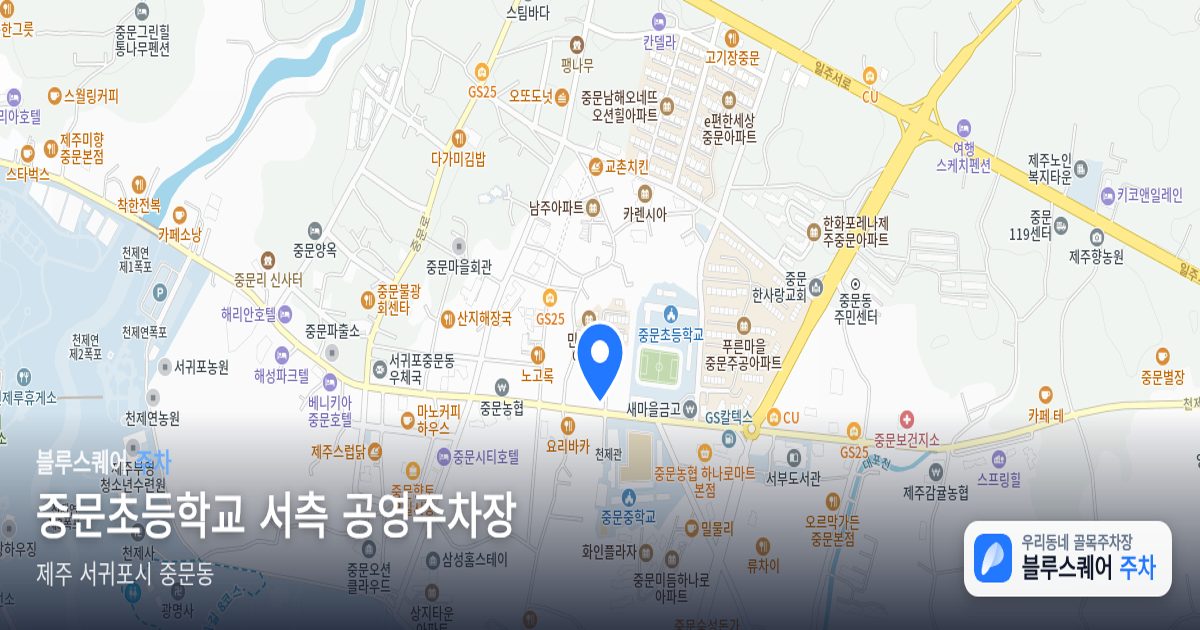 중문초등학교 서측 공영주차장 위치 지도
