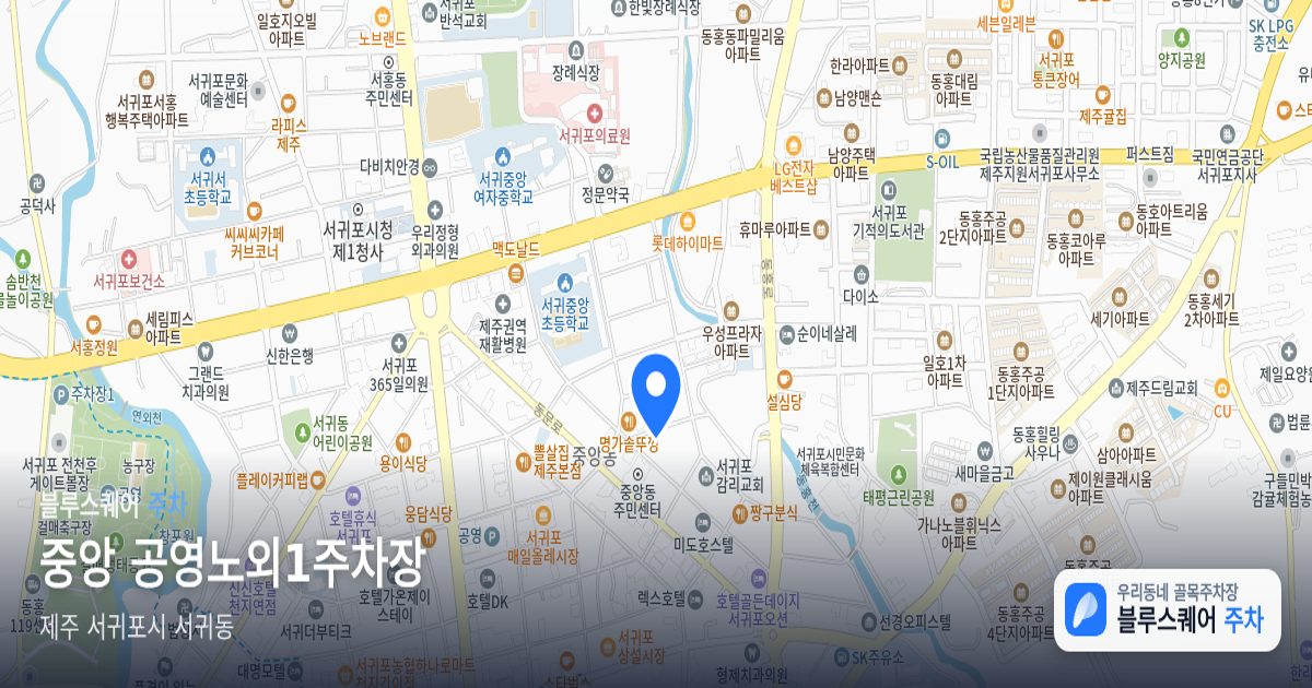 중앙 공영노외1주차장 위치 지도