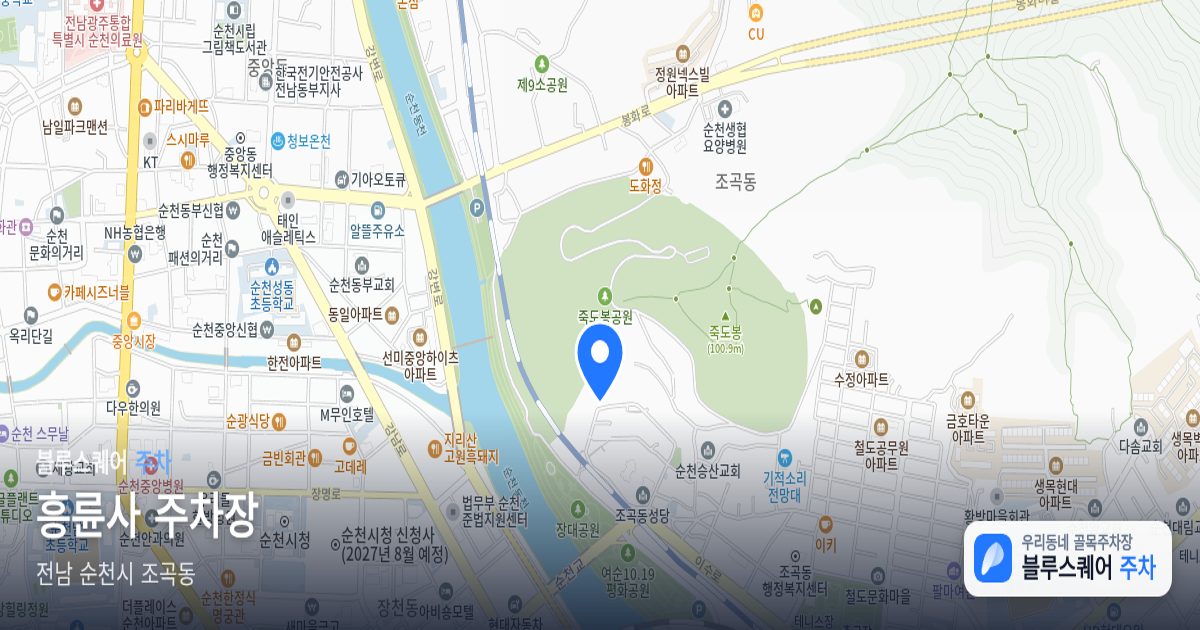 흥륜사 주차장 위치 지도