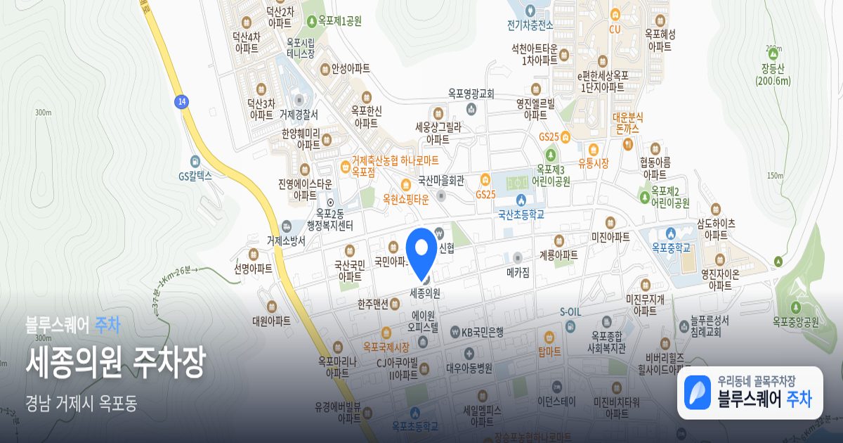 세종의원 주차장 위치 지도