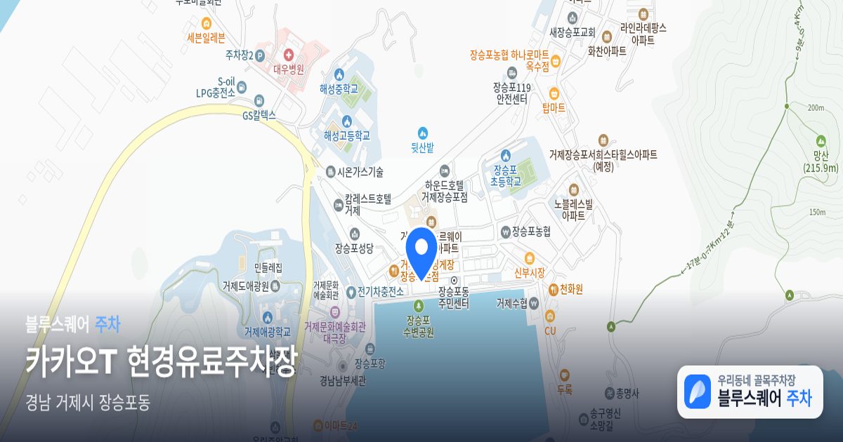 카카오T 현경유료주차장 위치 지도