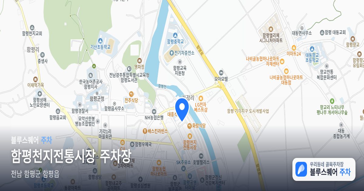 함평천지전통시장 주차장 위치 지도