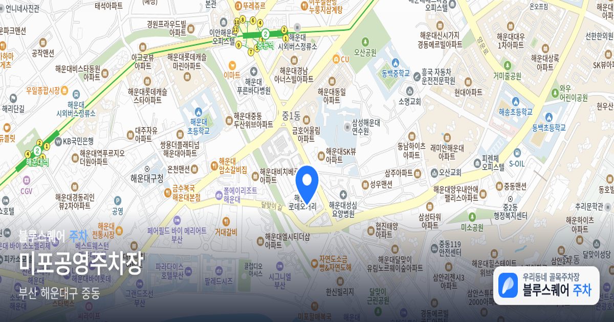 미포공영주차장 위치 지도