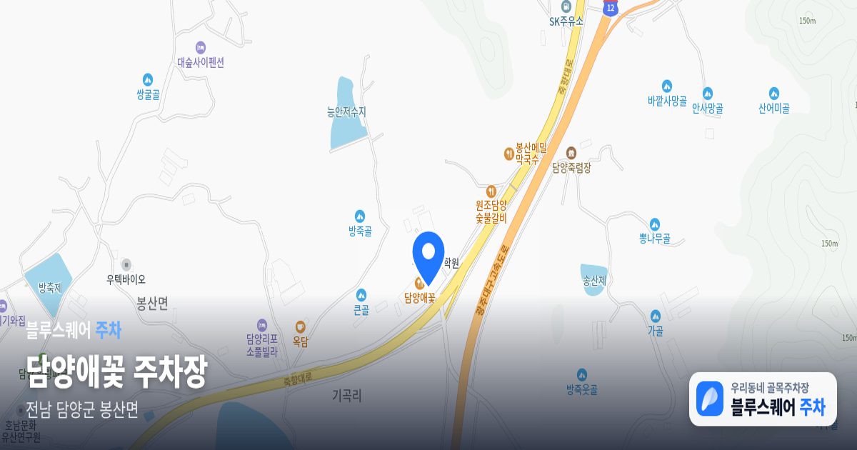 담양애꽃 주차장 위치 지도