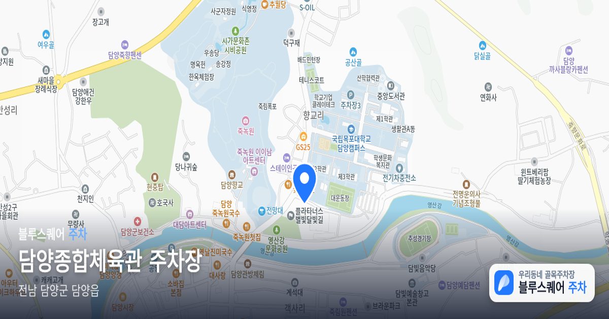 담양종합체육관 주차장 위치 지도