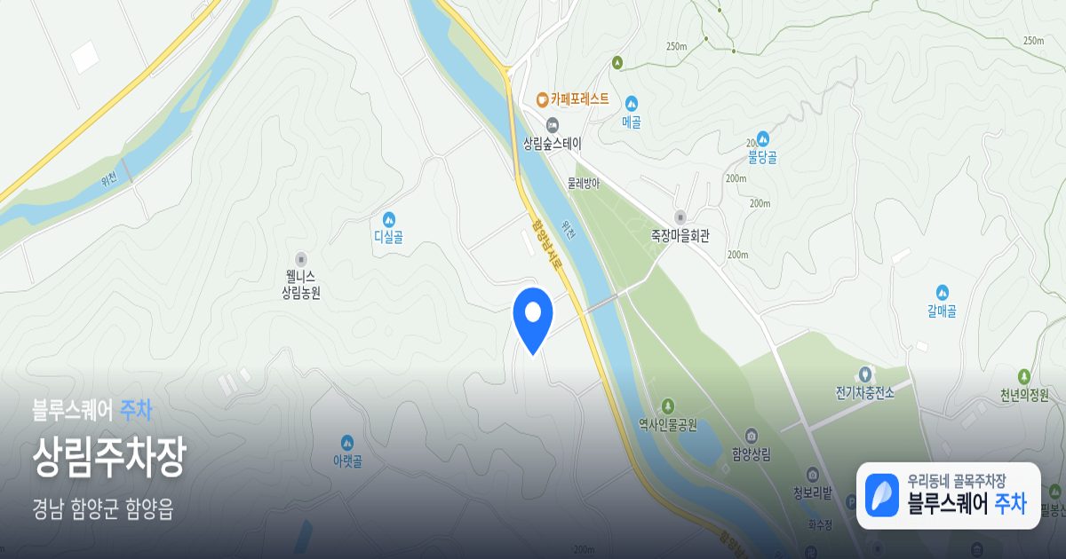 상림주차장 위치 지도