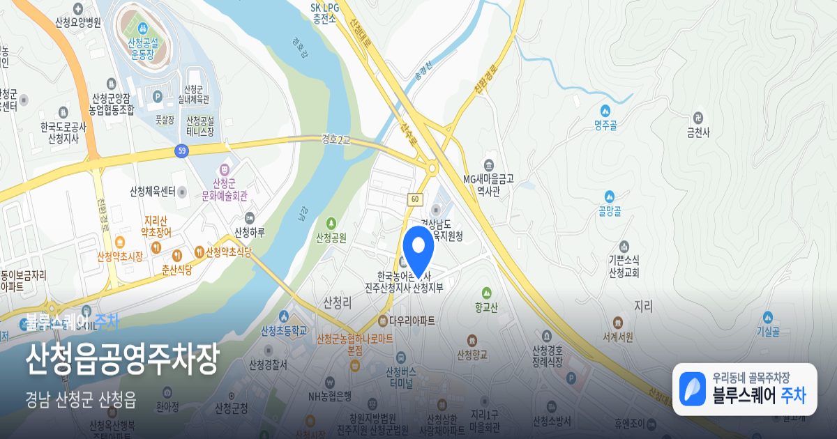 산청읍공영주차장 위치 지도