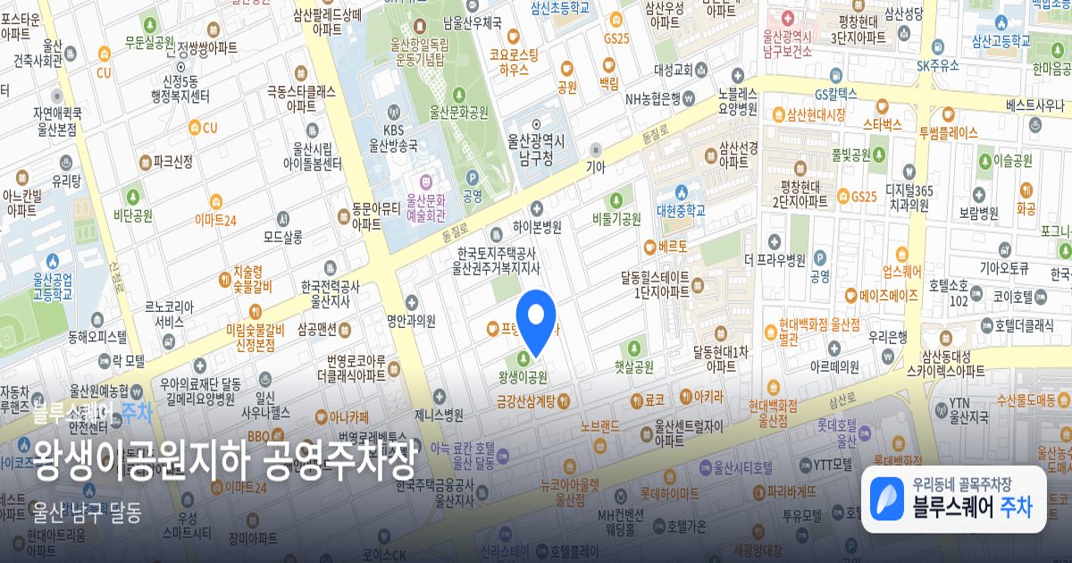 왕생이공원지하 공영주차장 위치 지도