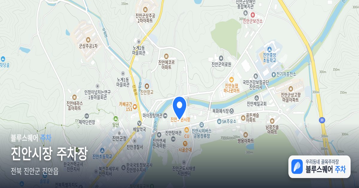 진안시장 주차장 위치 지도