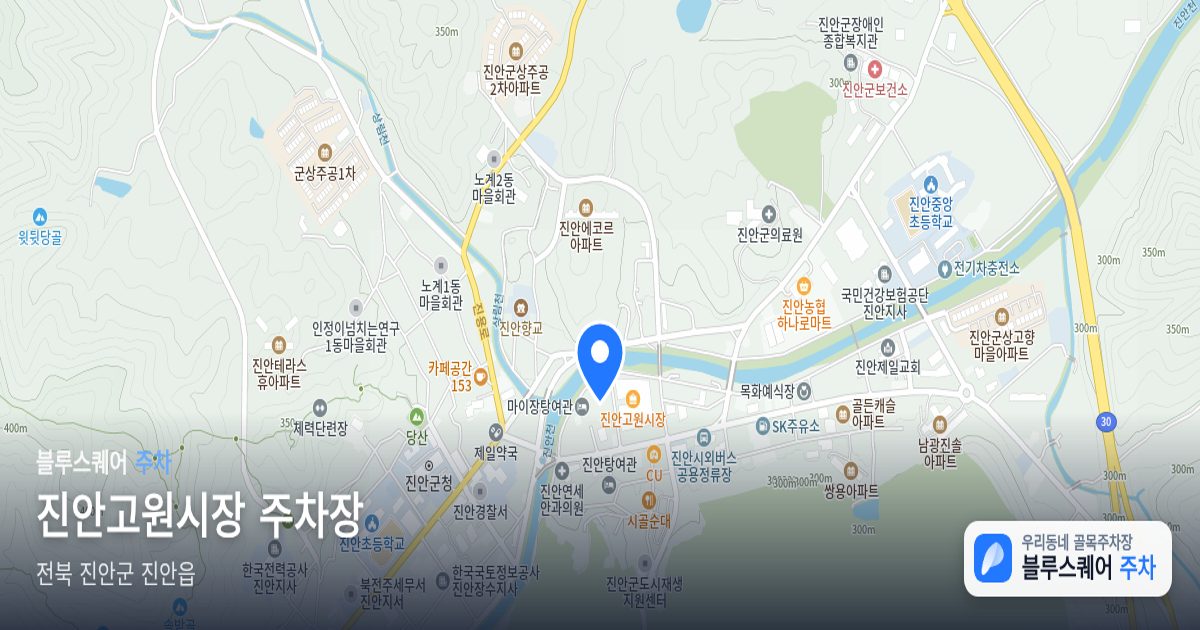 진안고원시장 주차장 위치 지도