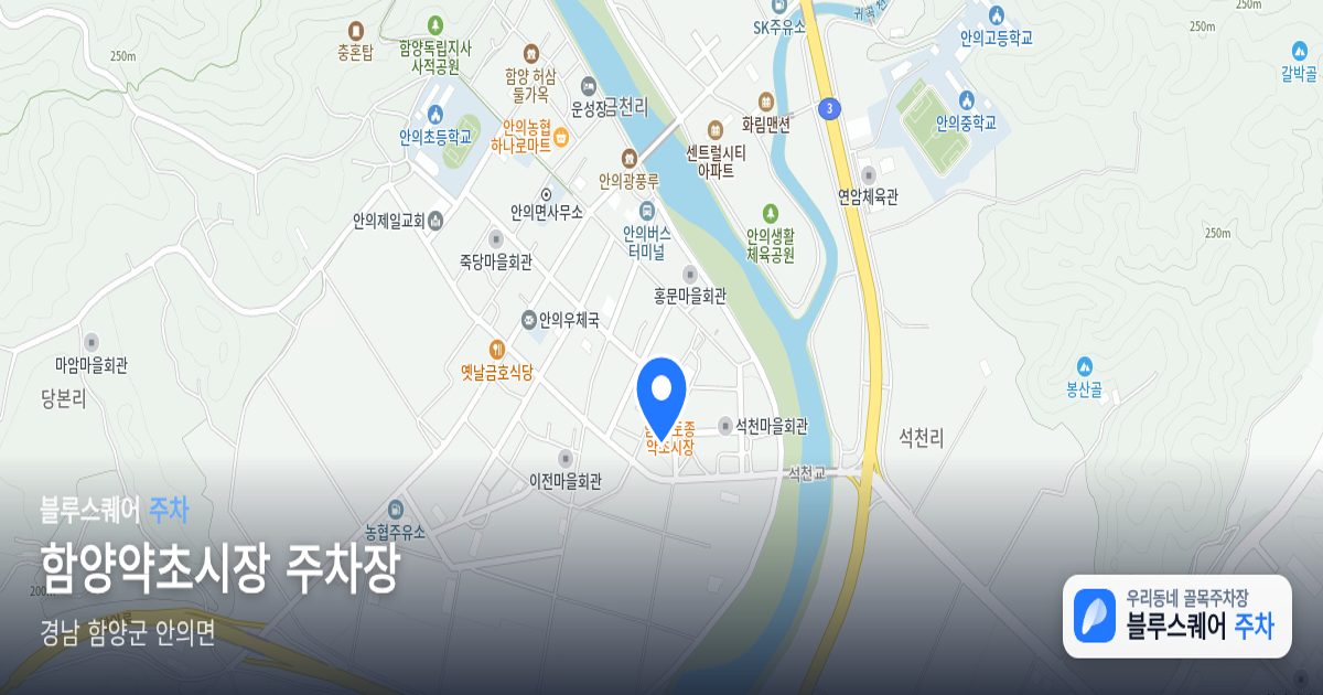 함양약초시장 주차장 위치 지도