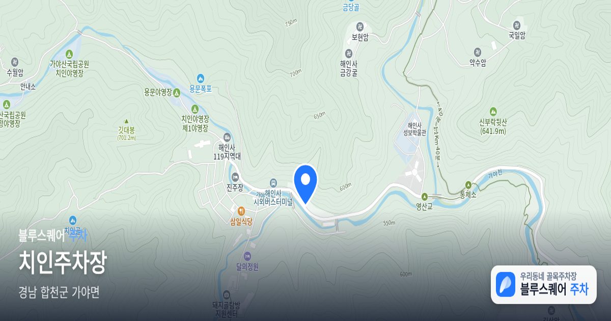 치인주차장 위치 지도