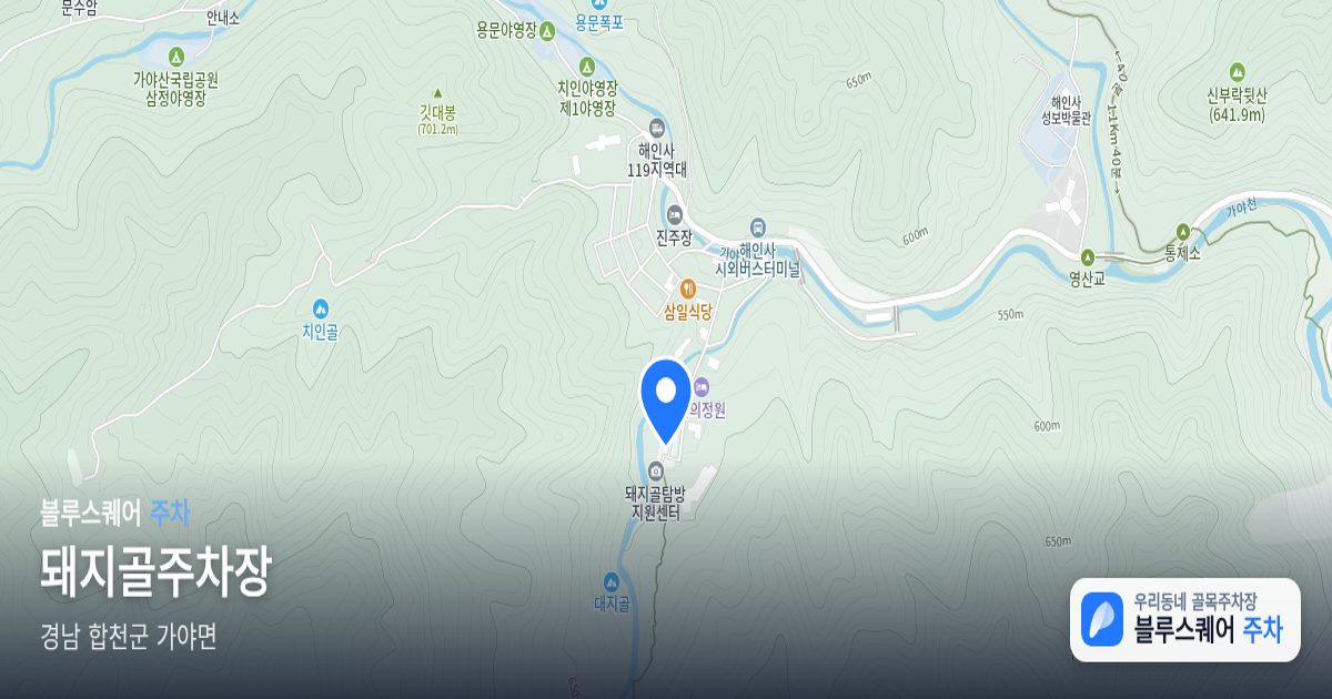 돼지골주차장 위치 지도