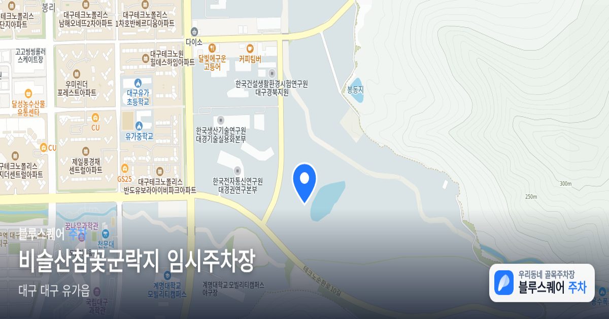 비슬산참꽃군락지 임시주차장 위치 지도